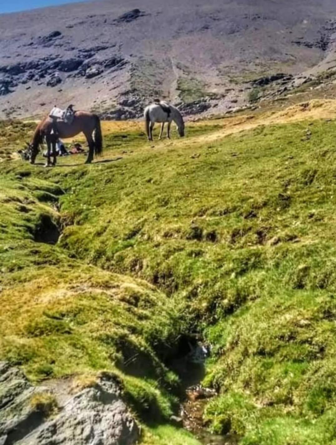 Molino De Santa Agueda Domek alpejski Jeres del Marquesado