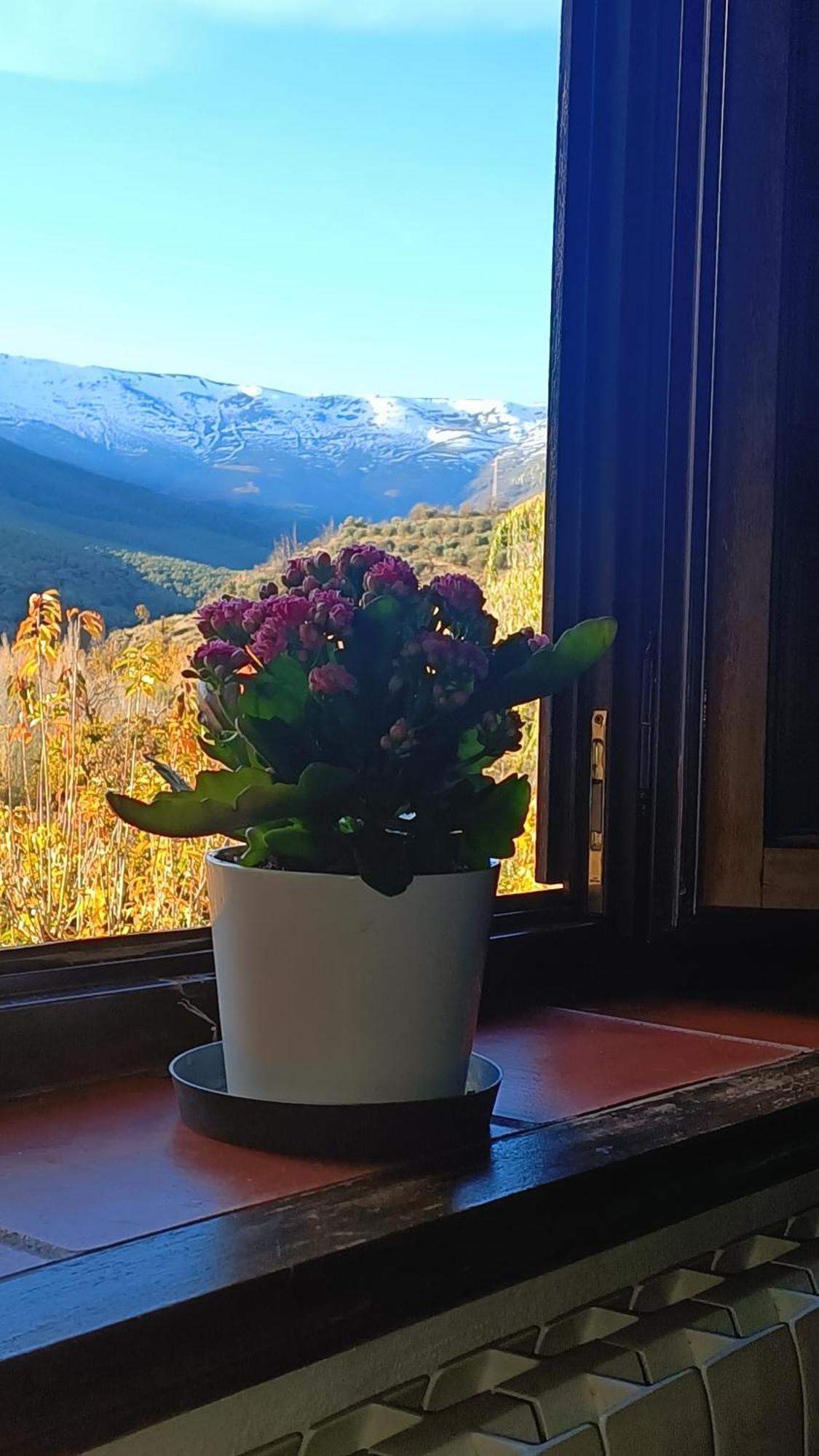 Chalet Molino De Santa Agueda *